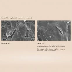 Haeckels Algae Plump + B3