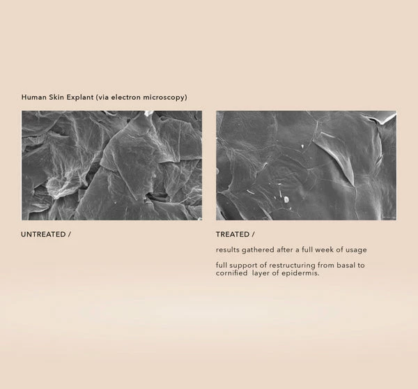 Haeckels Algae Plump + B3 1 Haeckels Algae Plump + B3