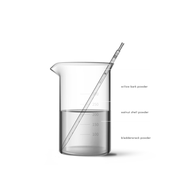 Haeckels Seaweed + Salicylic Powder Exfoliant 1 Haeckels Seaweed + Salicylic Powder Exfoliant