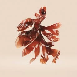 Haeckels Eco Marine Face Cream