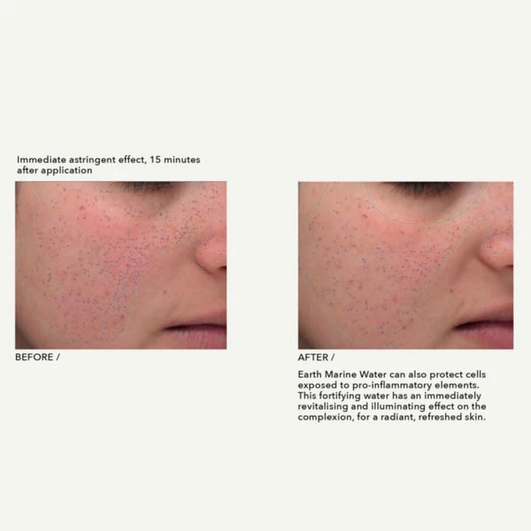 Haeckels Earth Marine Water 1 Haeckels Earth Marine Water