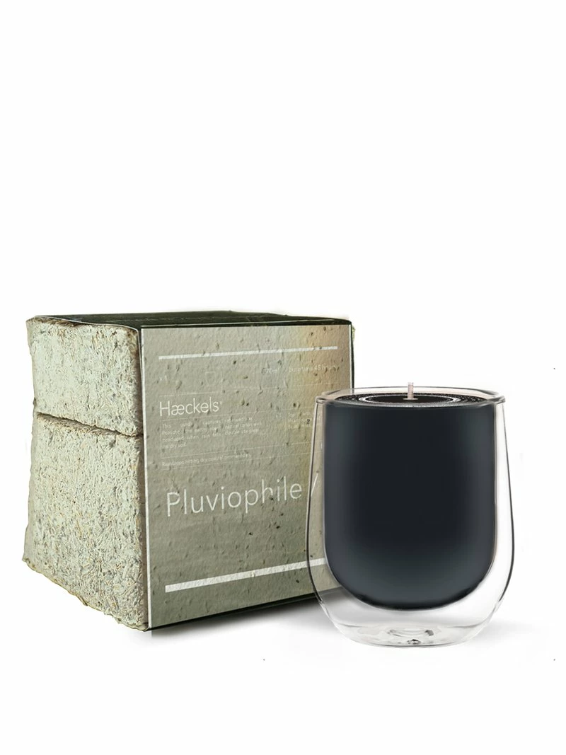 Haeckels Pluviophile Cliftonville Rain Candle 1 Haeckels Pluviophile Cliftonville Rain Candle
